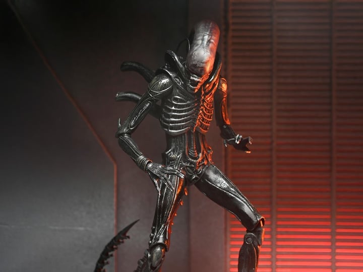 Alien: Romulus Ultimate Xenomorph XX121 Action Figure Gallery Image 1