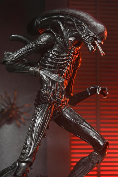 Alien: Romulus Ultimate Xenomorph XX121 Action Figure Gallery Image 8