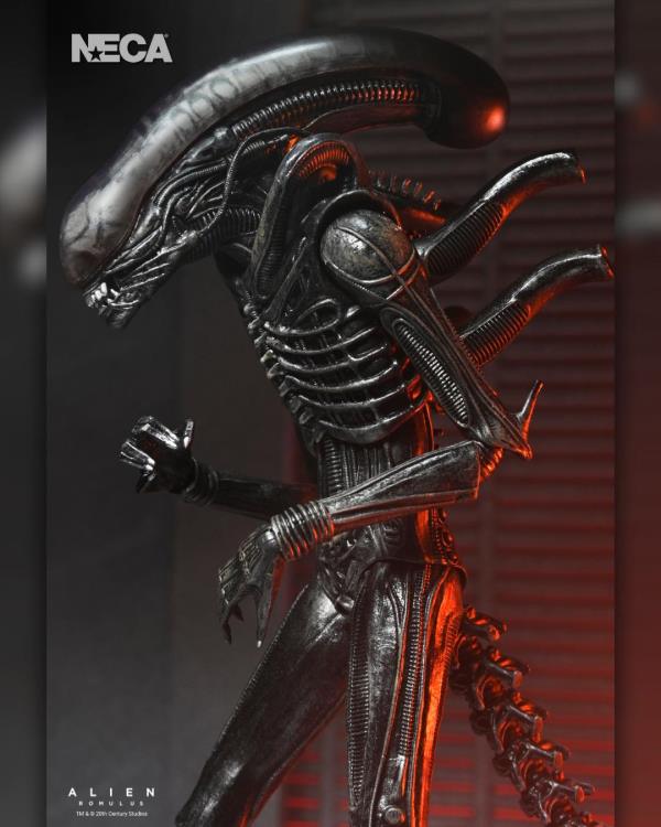 Alien: Romulus Ultimate Xenomorph XX121 Action Figure Gallery Image 10