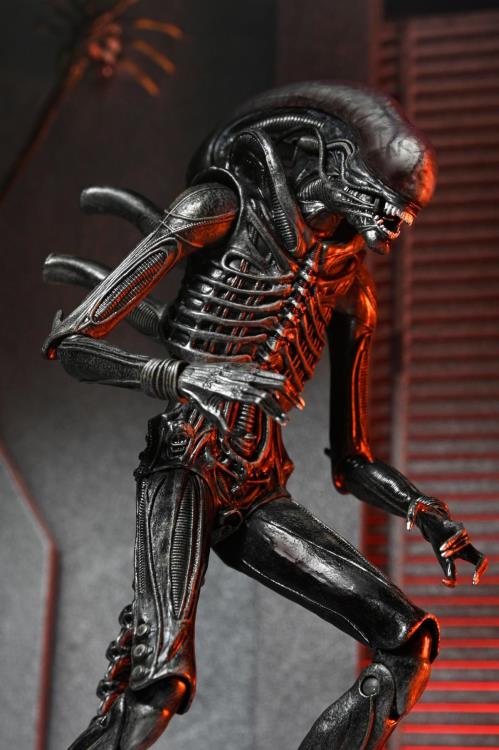 Alien: Romulus Ultimate Xenomorph XX121 Action Figure Gallery Image 6