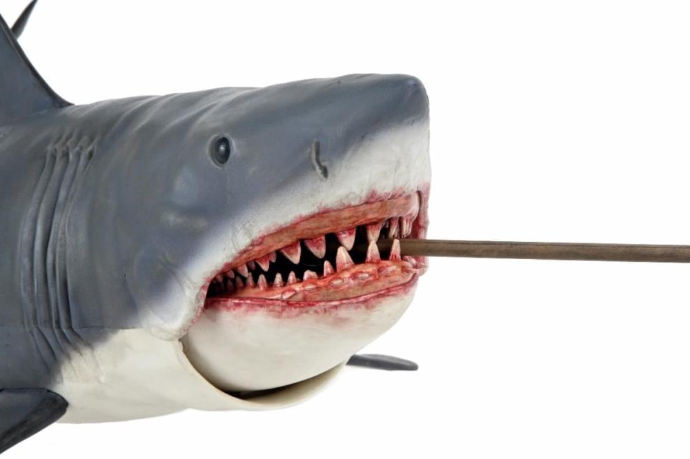 Jaws 50th Anniversary The Game of Jaws