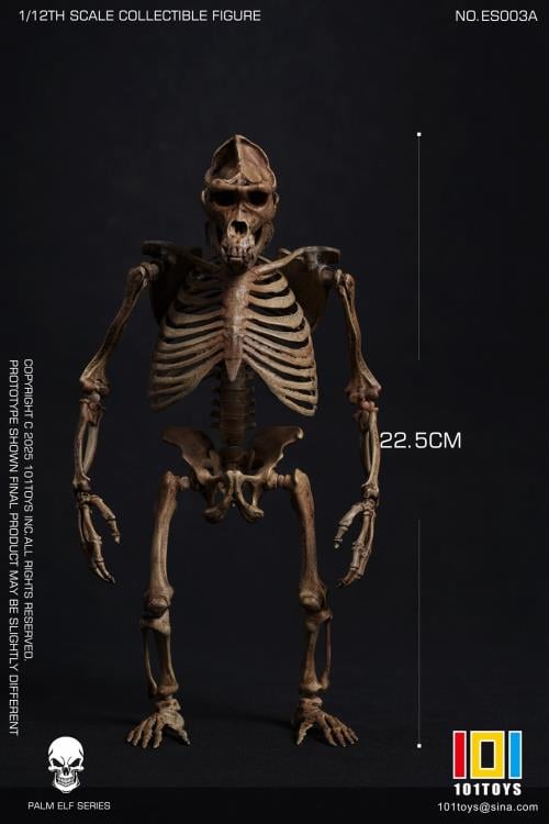 Palm Elf Series Skeleton Chimpanzee (Original Color Ver.) 1/12 Scale Action Figure (With Bonus) Gallery Image 4