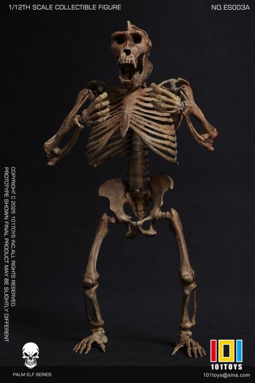 Palm Elf Series Skeleton Chimpanzee (Original Color Ver.) 1/12 Scale Action Figure (With Bonus) Gallery Image 3