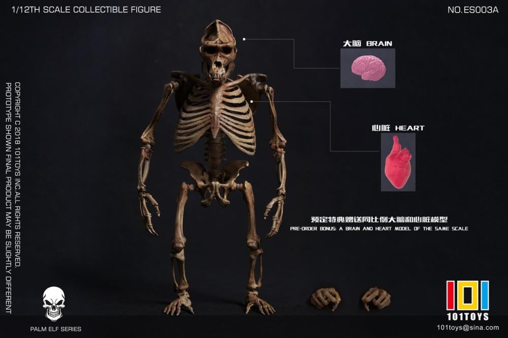 Palm Elf Series Skeleton Chimpanzee (Original Color Ver.) 1/12 Scale Action Figure (With Bonus) Gallery Image 11