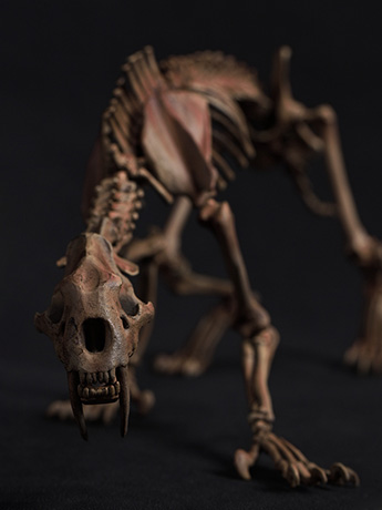Palm Elf Series Skeleton Saber-toothed Tiger (Original Color Ver.) 1/12 Scale Action Figure (With Bonus) Gallery Image 2