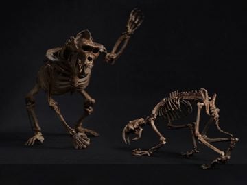 Palm Elf Series Skeleton Chimpanzee & Saber-toothed Tiger