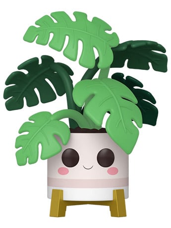 Flora Pop! Plants #02 Monstera Gallery Image 2
