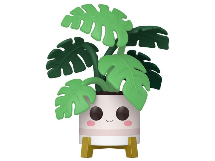 Flora Pop! Plants #02 Monstera Gallery Image 1