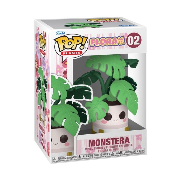 Flora Pop! Plants #02 Monstera Gallery Image 3