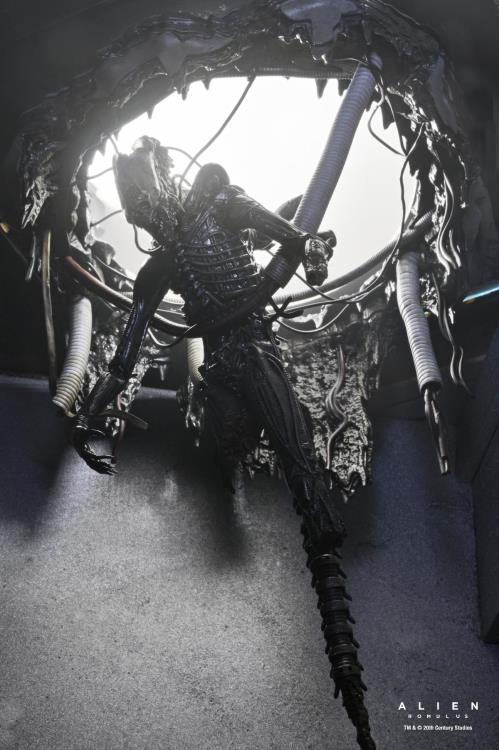 Alien: Romulus Suspended Lab Xenomorph XX121 Deluxe Action Figure Gallery Image 5
