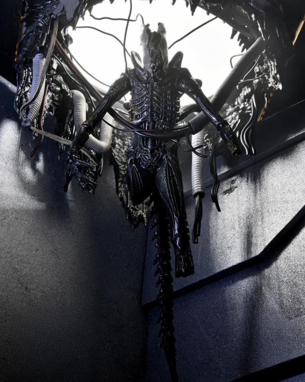 Alien: Romulus Suspended Lab Xenomorph XX121 Deluxe Action Figure Gallery Image 3
