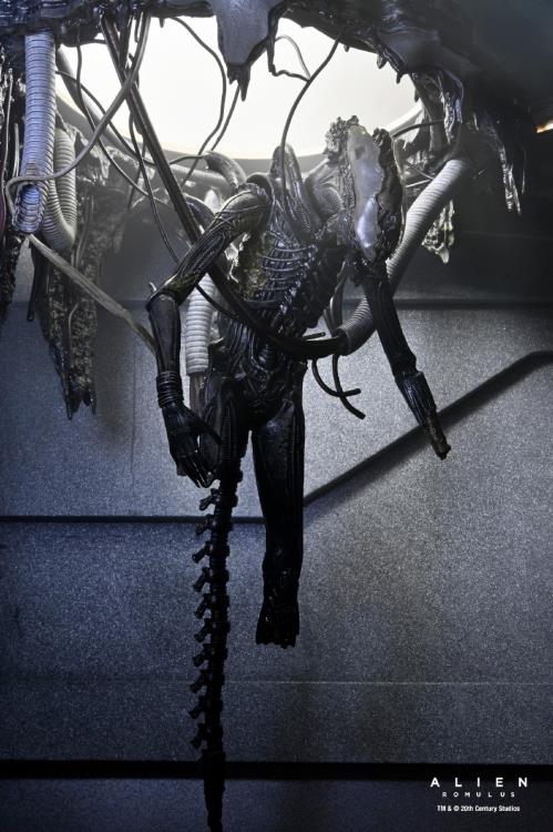 Alien: Romulus Suspended Lab Xenomorph XX121 Deluxe Action Figure Gallery Image 4