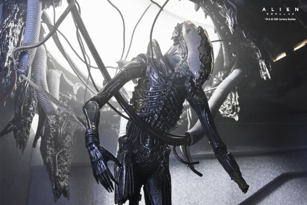 Alien: Romulus Suspended Lab Xenomorph XX121 Deluxe Action Figure Gallery Image 8