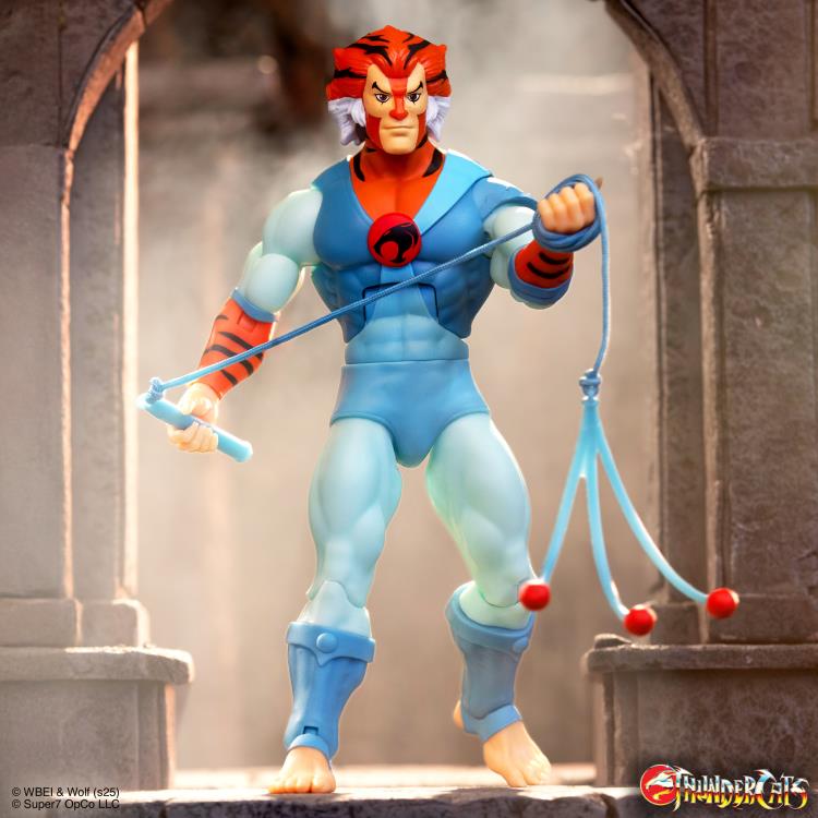 ThunderCats Deluxe Tygra Action Figure Gallery Image 4