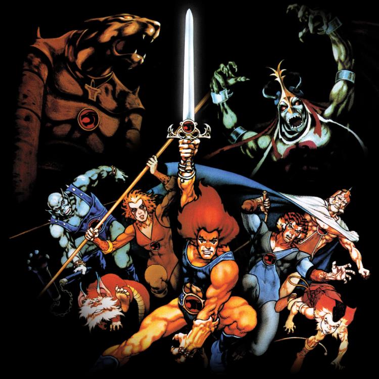 ThunderCats Deluxe Tygra Action Figure Gallery Image 8
