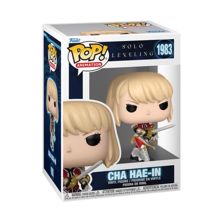 Solo Leveling Pop! Animation #1983 Cha Hae-In Gallery Image 3