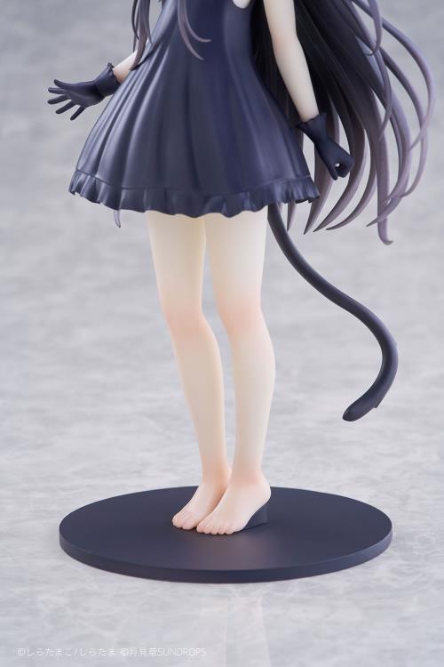 Starry Sky Railway and Shiro's Journey 1/7 Scale Set of 3 Figures Gallery Image 40