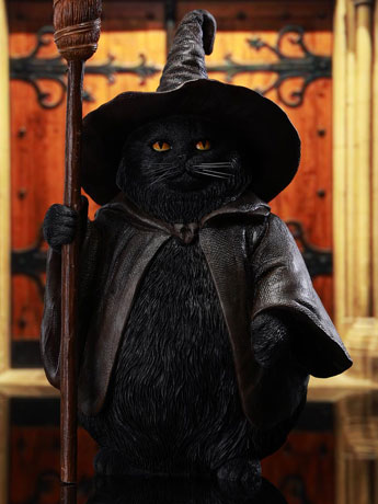 Wizard Cat (Ver. C) Figure