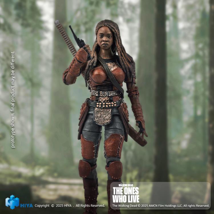 The Walking Dead: The Ones Who Lived Exquisite Mini Series Michonne PX Previews Exclusive 1/18 Scale Action Figure Gallery Image 5