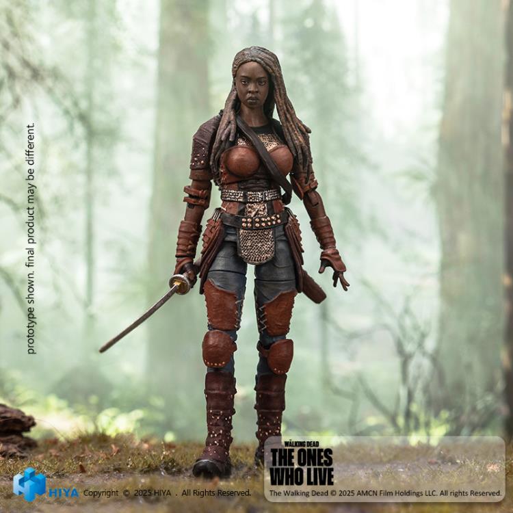 The Walking Dead: The Ones Who Lived Exquisite Mini Series Michonne PX Previews Exclusive 1/18 Scale Action Figure Gallery Image 4
