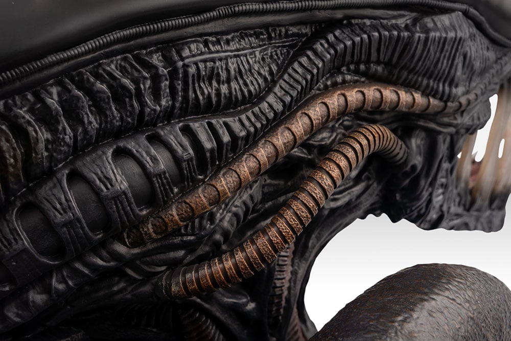 Alien: Romulus Scorched Xenomorph Limited Edition Life Size Bust Gallery Image 14