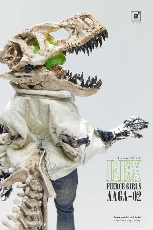 Entei Ryu Fierce Girls AAGA-02 Rex 1/6 Scale Action Figure Gallery Image 10