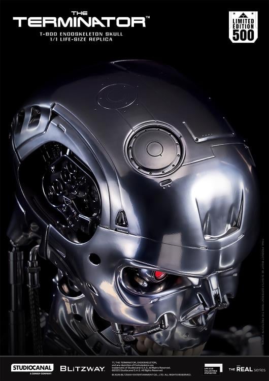 The Terminator The Real Series T-800 Endoskeleton Skull 1/1 Scale Limited Edition Replica Gallery Image 6