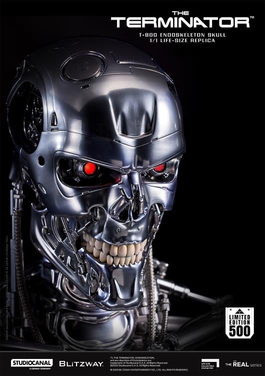 The Terminator The Real Series T-800 Endoskeleton Skull 1/1 Scale Limited Edition Replica Gallery Image 5