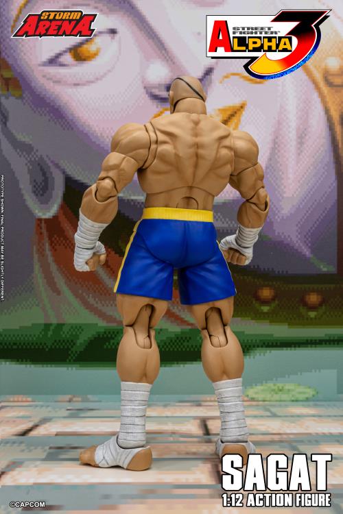 Street Fighter Alpha 3 Storm Arena Sagat 1/12 Scale Action Figure Gallery Image 6