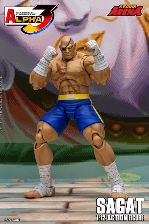 Street Fighter Alpha 3 Storm Arena Sagat 1/12 Scale Action Figure Gallery Image 13