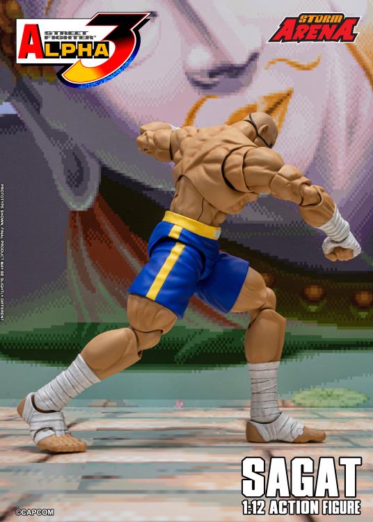 Street Fighter Alpha 3 Storm Arena Sagat 1/12 Scale Action Figure Gallery Image 9