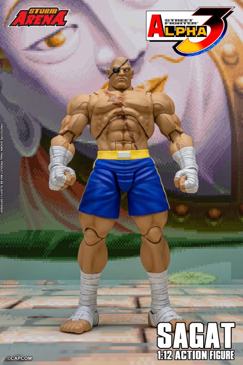 Storm サガット限定 CollectiblesストリートファイターSagat Storm CollectiblesストリートファイターSagat 【公式通販】 サガット限定 ゲームキャラクター