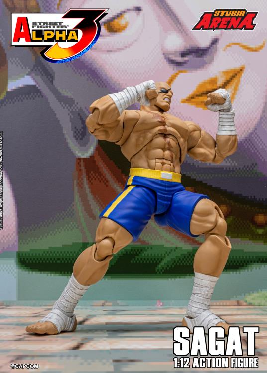 Street Fighter Alpha 3 Storm Arena Sagat 1/12 Scale Action Figure Gallery Image 10