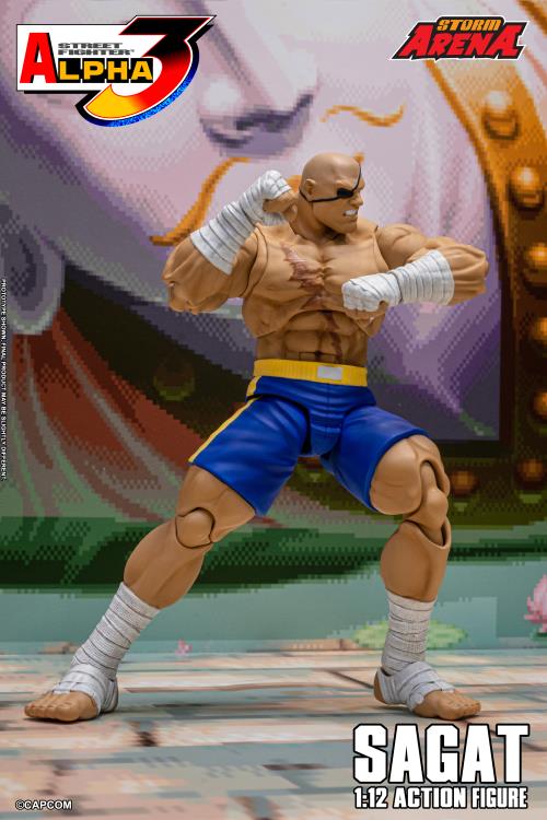 Street Fighter Alpha 3 Storm Arena Sagat 1/12 Scale Action Figure Gallery Image 8