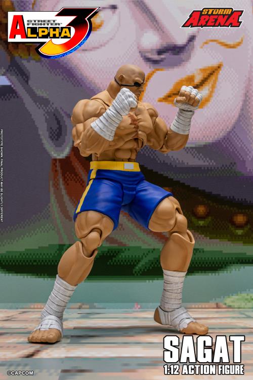Street Fighter Alpha 3 Storm Arena Sagat 1/12 Scale Action Figure Gallery Image 7