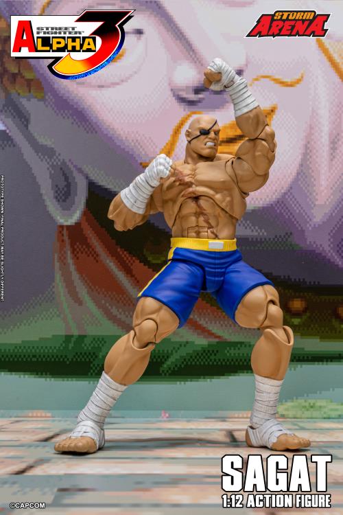 Street Fighter Alpha 3 Storm Arena Sagat 1/12 Scale Action Figure Gallery Image 11