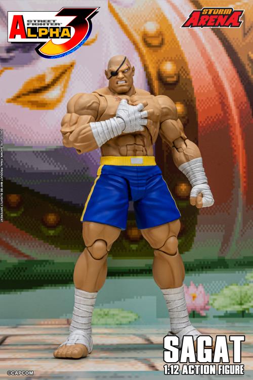 Street Fighter Alpha 3 Storm Arena Sagat 1/12 Scale Action Figure Gallery Image 12