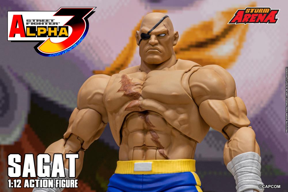 Street Fighter Alpha 3 Storm Arena Sagat 1/12 Scale Action Figure Gallery Image 23