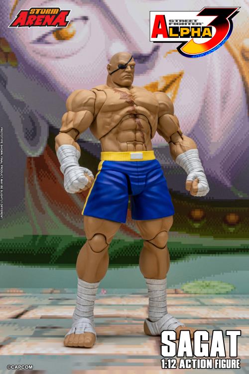 Street Fighter Alpha 3 Storm Arena Sagat 1/12 Scale Action Figure Gallery Image 5