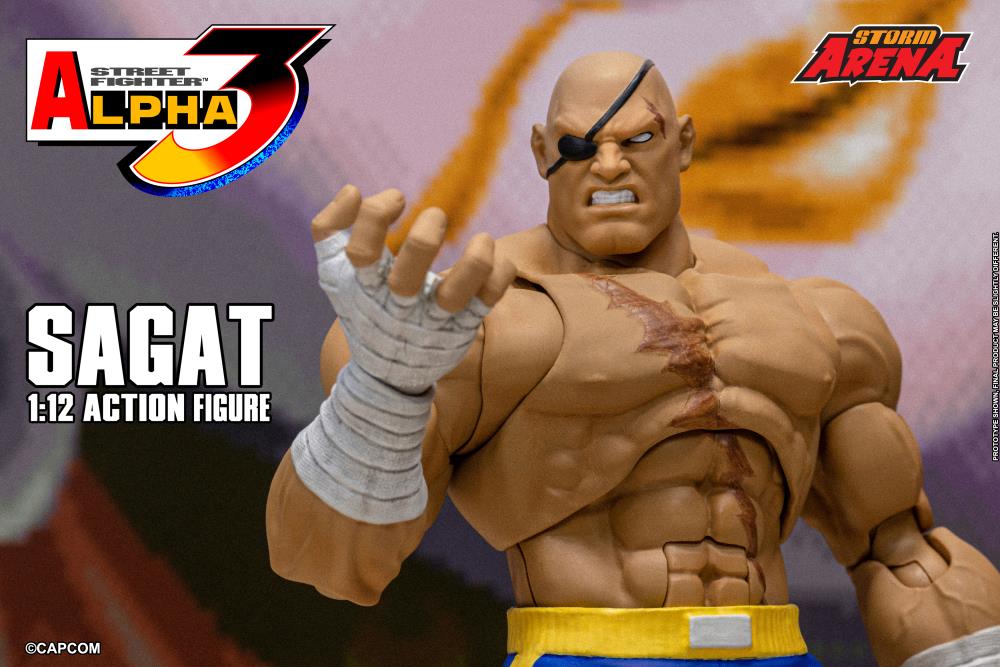 Street Fighter Alpha 3 Storm Arena Sagat 1/12 Scale Action Figure Gallery Image 3