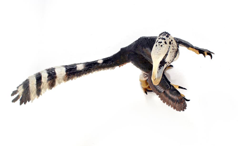 Cyberzoic Utahraptor ostrommaysi 1/18 Scale Action Figure Gallery Image 16