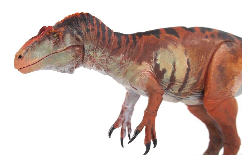 Beasts of the Mesozoic Allosaurus jimmadseni 1/35 Scale Action Figure Gallery Image 9