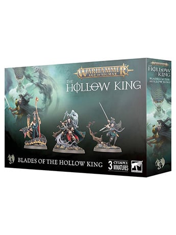 Warhammer Age of Sigmar: Soulblight Gravelords: Blades of the Hollow King Citadel Miniatures Set Gallery Image 2