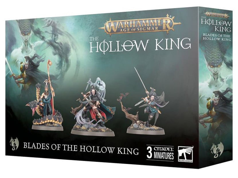 Warhammer Age of Sigmar: Soulblight Gravelords: Blades of the Hollow King Citadel Miniatures Set Gallery Image 7