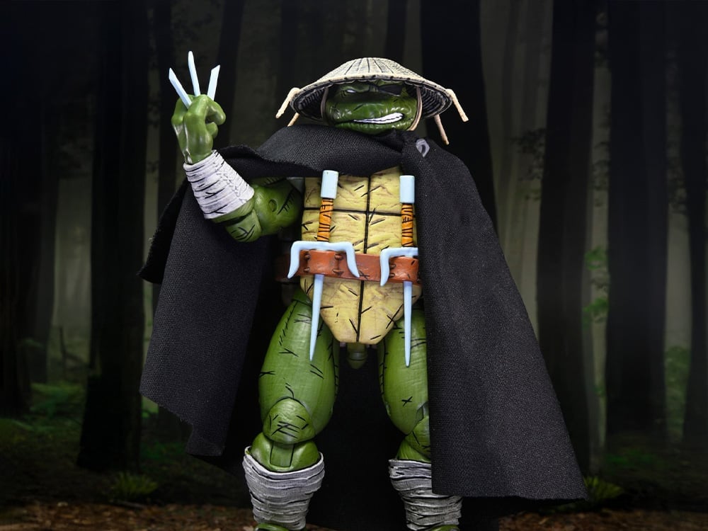 Teenage Mutant Ninja Turtles Old Man Raphael (Mirage Comics) Action Figure Gallery Image 1