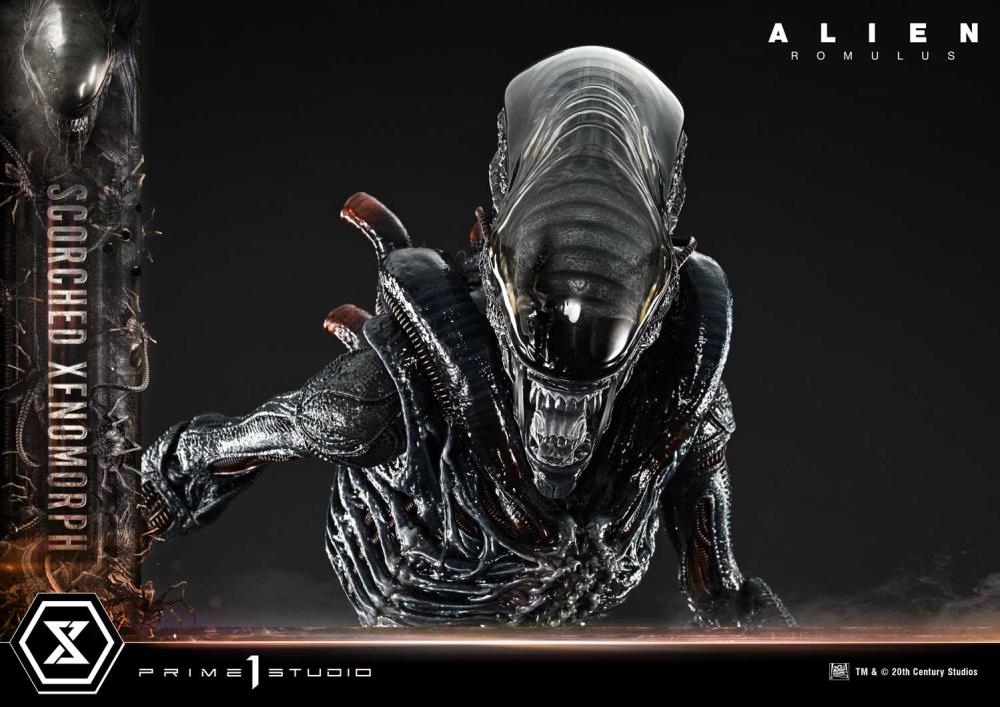 Alien: Romulus Museum Masterline XL Scorched Xenomorph 1/3 Scale Statue Gallery Image 38