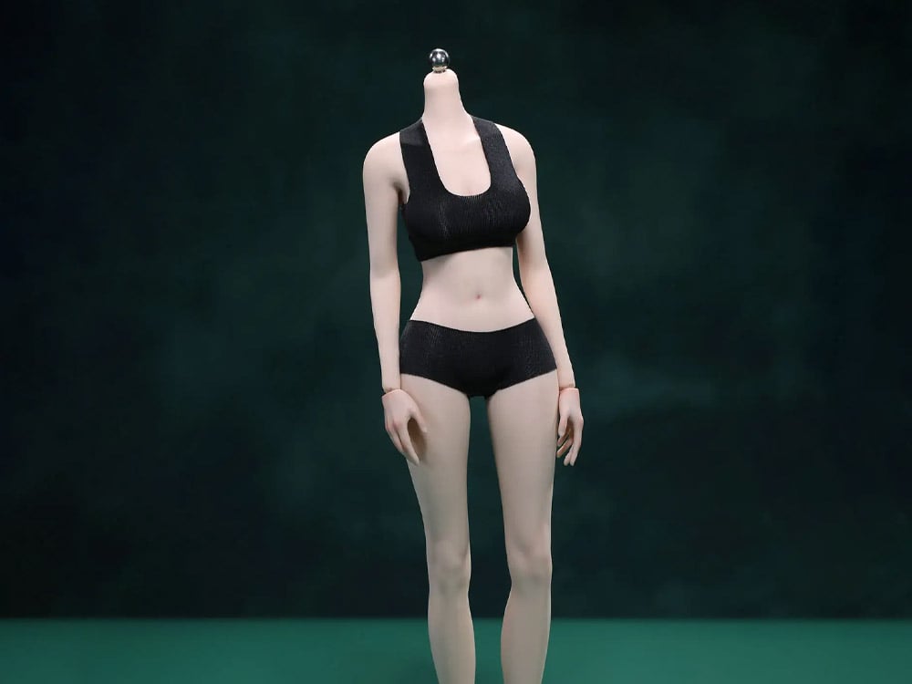 Super Flexible Female Seamless 1/6 Scale Pale Skin Body (21D-WS01)