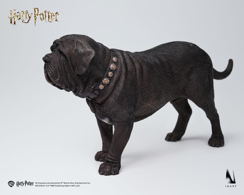 Harry Potter and the Sorcerer's Stone InArt Draco Malfoy (Deluxe Ver.) 1/6 Scale Figure Gallery Image 21