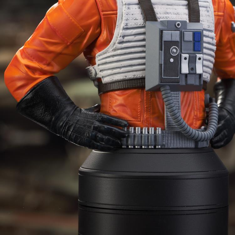 Star Wars: A New Hope Biggs Darklighter (Rebel Pilot) 1/6 Scale Limited Edition Mini Bust Gallery Image 11