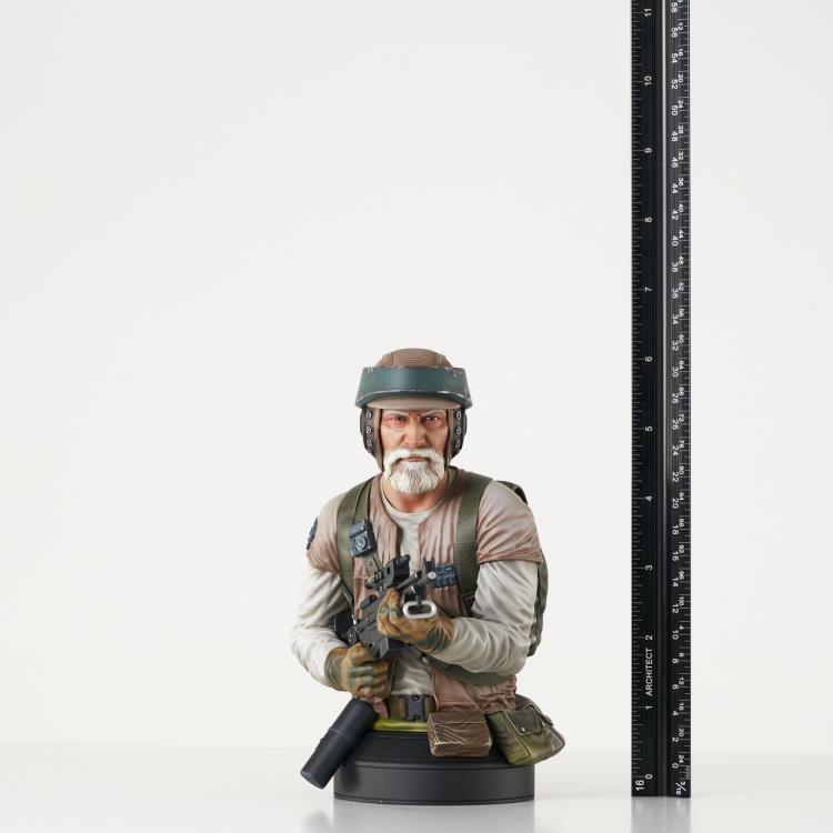 Star Wars: Return of the Jedi Nik Sant 1/6 Scale Limited Edition Exclusive Mini Bust Gallery Image 13